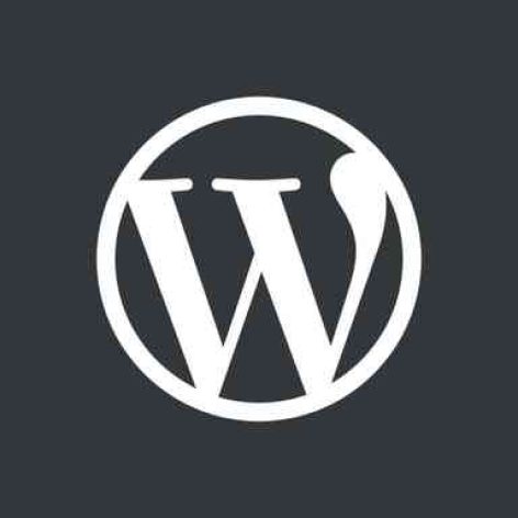 WordPress logotype wmark 768x768 2