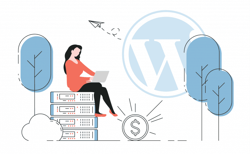 معرفی و راهنمای استفاده از افزونههای سئو برای وردپرس 1 cheap wordpress hosting 1 800x492 1 2