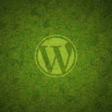 grass 2