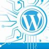 header wordpress security 3