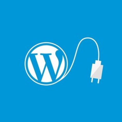 should you be using wordpress plugins 4