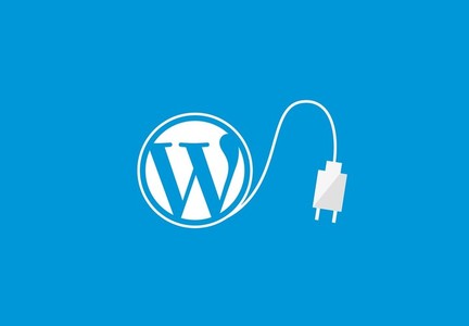 رایگان و پولی قالبهای وردپرس 1 should you be using wordpress plugins 4