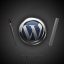 wordpress 768x432 2