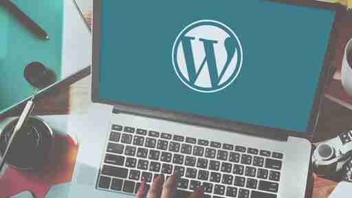 قالب شرکتی سایت وردپرس 1 wordpress developer 1024x576 2