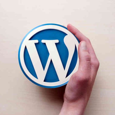 wordpress developer 2