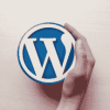 wordpress developer 4