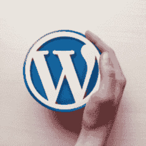 wordpress developer 4
