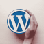 wordpress developer 4