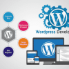 wordpress development 3