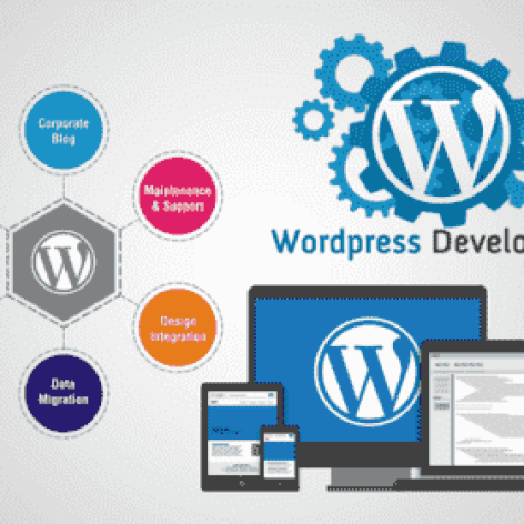 wordpress development 3