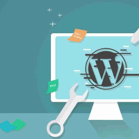 wordpress display error 2