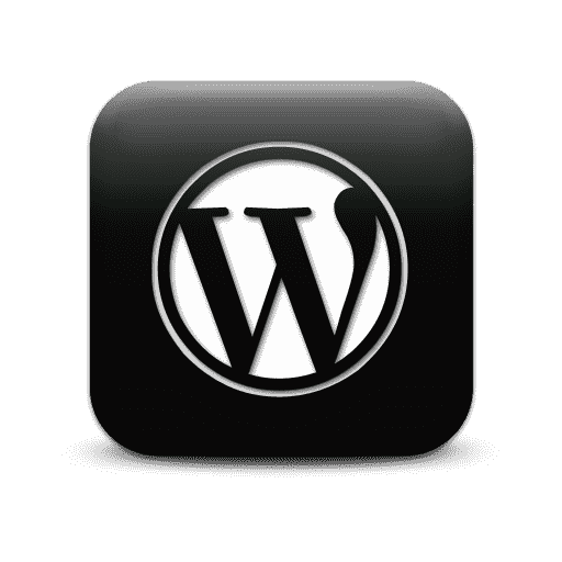 بهبود کارایی فروشگاه آنلاین با وردپرس 1 wordpress logo 2