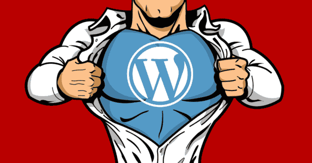 مزایا و معایب استفاده از پلاگینهای نمایشگرهای زنده در وردپرس 1 wordpress security 5f34e092b44b9 768x403 2
