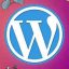 wordpress seo image 2