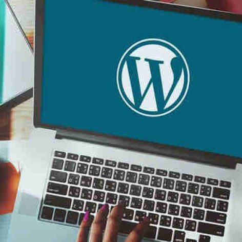 wordpress Hosting Environment large 1 2