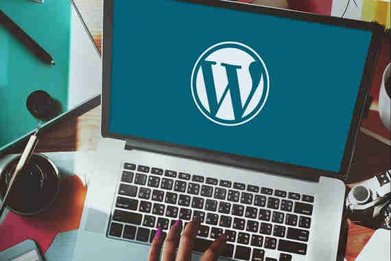 راهاندازی وردپرس برای وبسایت خود 1 wordpress Hosting Environment large 1 2