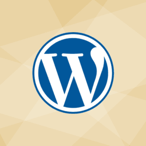 wordpresse128973764ac476b9878d13cf2915612 3