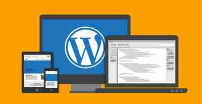 نحوه سفارشیسازی تم وردپرس 1 wp5 2 1