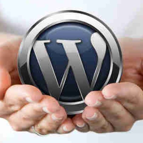 wp intro 2